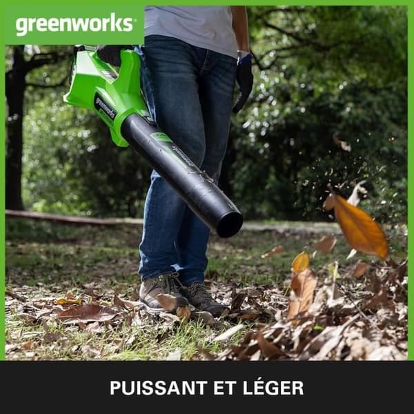 Greenworks G24ABIIK2 Trådlös Axial Blåsare för Döda Löv, 145 kmh, 9,08 m³/min Batteri 24V Ni Laddare, Garantin