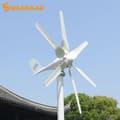 Miniatyrbillede 2 af 2: Vindmølle generator, MPPT hybrid controller, Alternativ energi, 48V, med MPPT-controller, 800w 6 blade