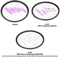 Miniatyrbillede 6 af 6: B+W 007 MASTER - 7,2 cm - Kamerafilter Transparent - Multi Resistant Coating (MRC) - 1 stk(e) (1101526)