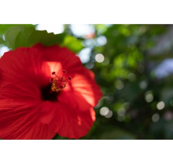 Tamron 24mm f/2.8 Di III OSD-objektiivi Sonylle