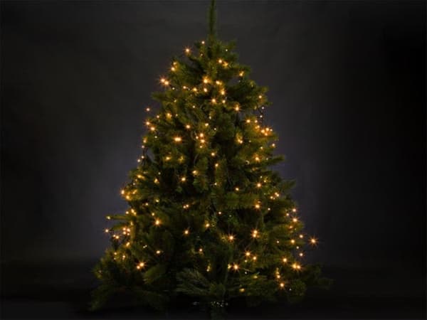 Atria Led - For Tree 1,8 M - 220 Arizona hvide lamper - Grøn ledning - 24 V