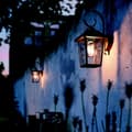 Miniatyrbilde 4 av 4: myGarden Buzzard Vegglampe