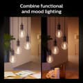 Miniatyrbillede 8 af 9: Hue White Ambiance Filament E27 G125 Glob