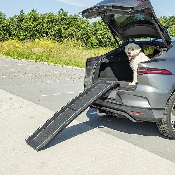 Koiraauto ramppi