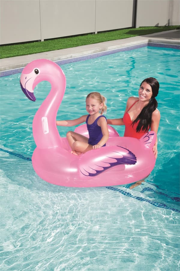 Flamingo 127 X 127 Cm