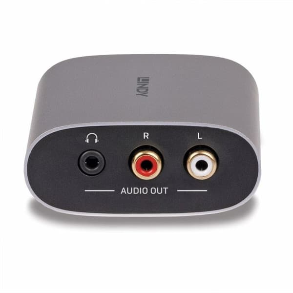 Omformer / Adapter LINDY Downmix 38362