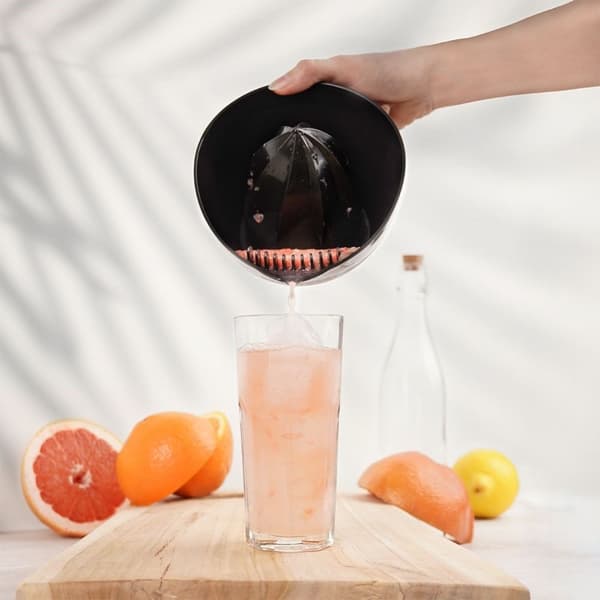 Citruspress med Handtag, Pip och Sil