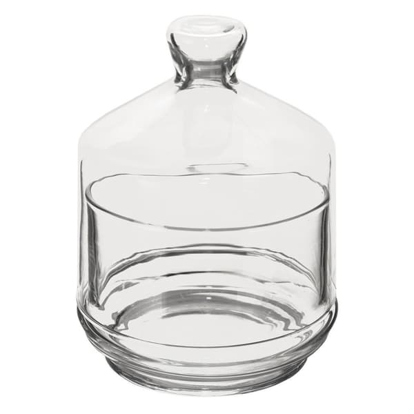 Elegant Citronskål med Lock i Genomskinligt Glas