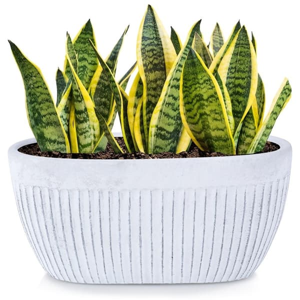 Vintage blomsterpotte i hvid keramik med skridsikre filtpuder