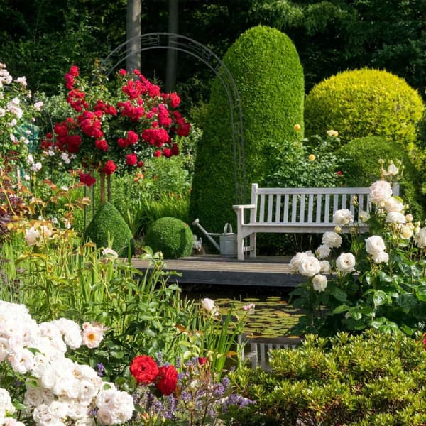 Rosenbue med bærende ornamenter