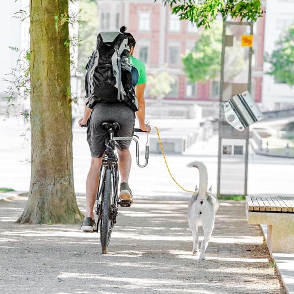Cykelkoppel med distans för hundar