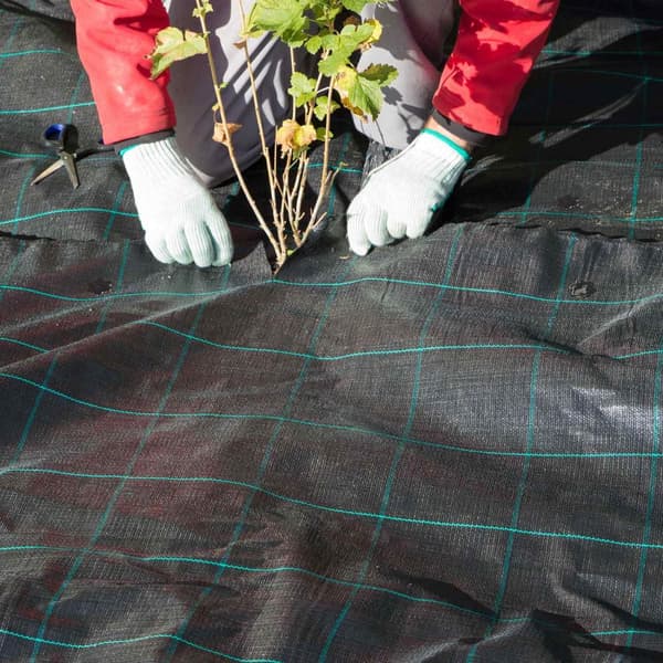 uppsättning med 100 plastpinnar