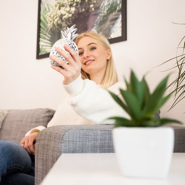 Sparbössa Ananas i silver
