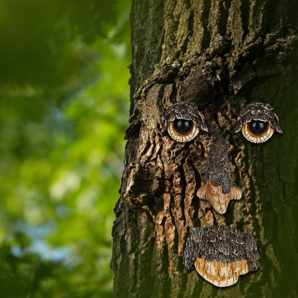 Treansikt Naturånd