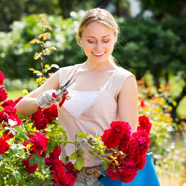 Rosenbåge med plantlådor