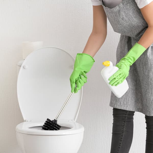 5 vaihto-wc-harjaa