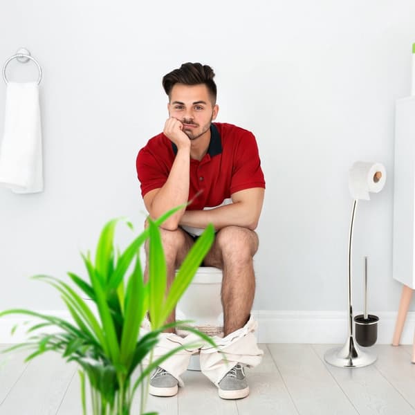 2 stk. toiletbørster