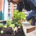 Miniatyrbilde 3 av 7: Planteetiketter, 60-pakning