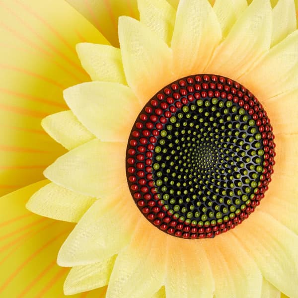 Pinwheel blomsterhave