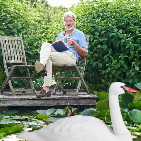XXL Hagedekor Svane