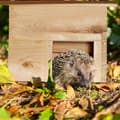 Miniatyrbillede 2 af 8: Pindsvinehus i træ
