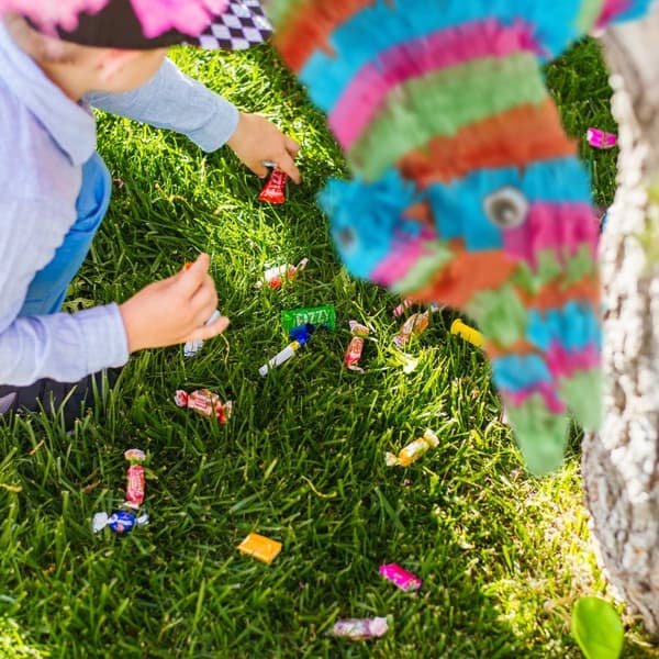 Pinata esel flerfarget