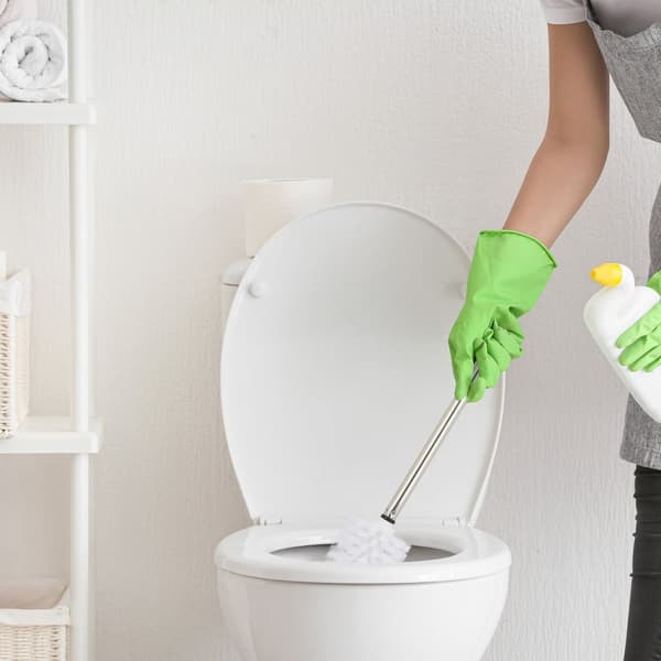 Vaihtoharjaspää wc-harjalle 9 kpl sarja
