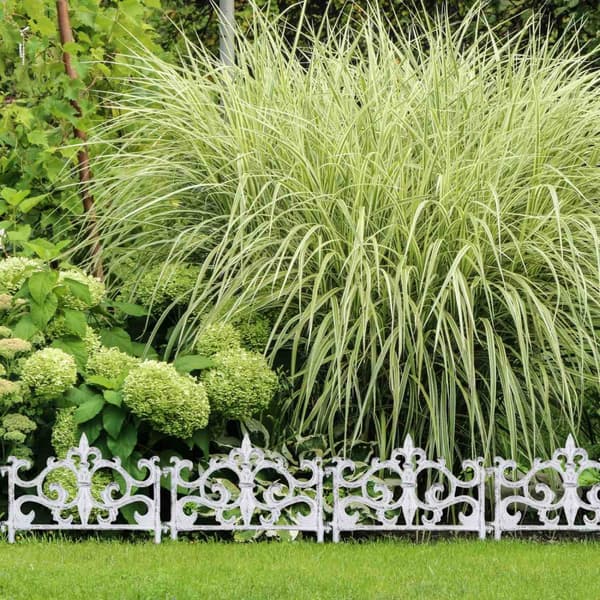 Rund rulleplate for potteplanter