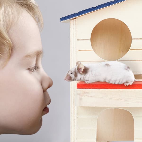 Hamsterhus trä