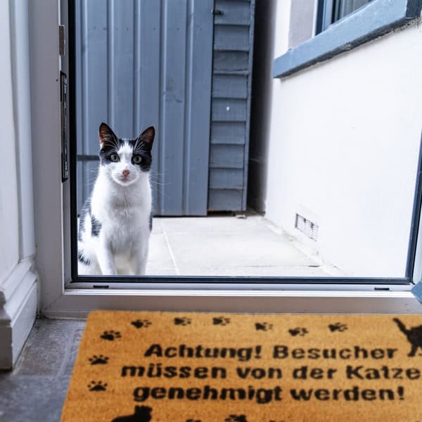 Dørmatte Coconut Cat