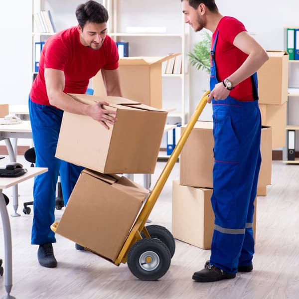 Hjul för handhållen truck, 2 st 3.00-4