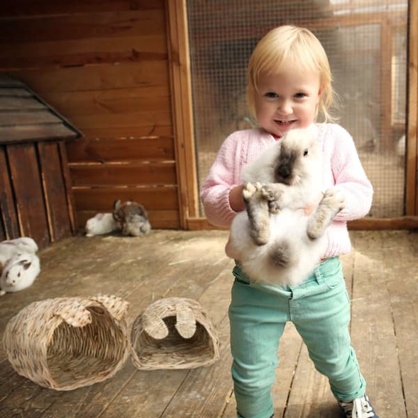 Kaninhus Sett med 2 stk med leker