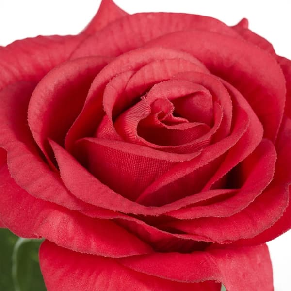 Evig rose i glass med stearinlys