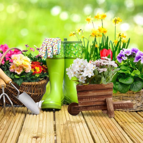 Tretrillebår for planter - sett med 2