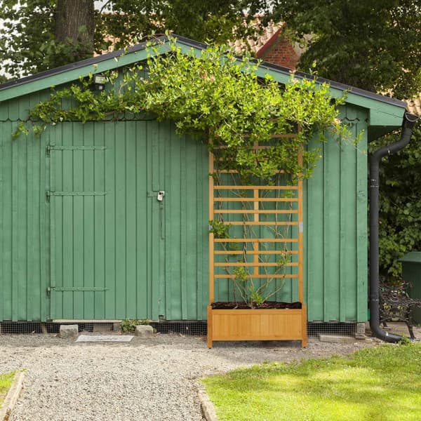 Vækstkasse med espalier