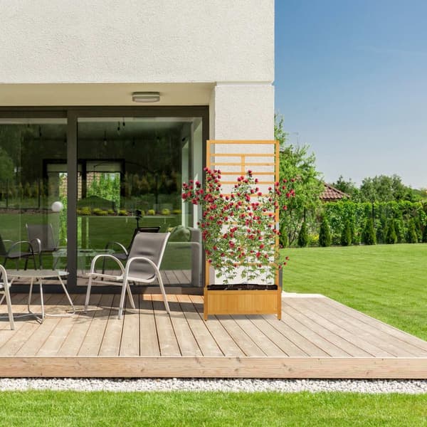 Vækstkasse med espalier