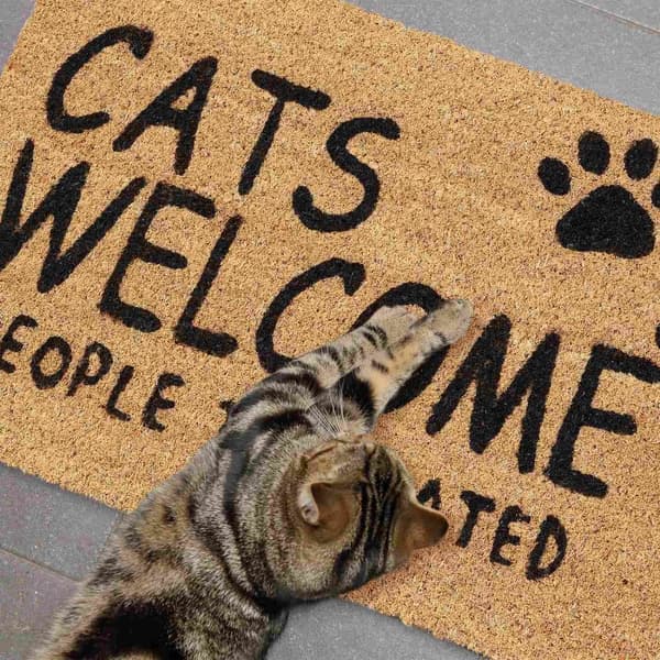Dörrmatta kokosfiber Cats Welcome