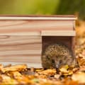 Miniatyrbilde 2 av 8: Pinnsvinhus med gulv