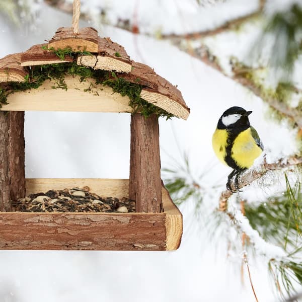 Fuglefoderautomat med bark
