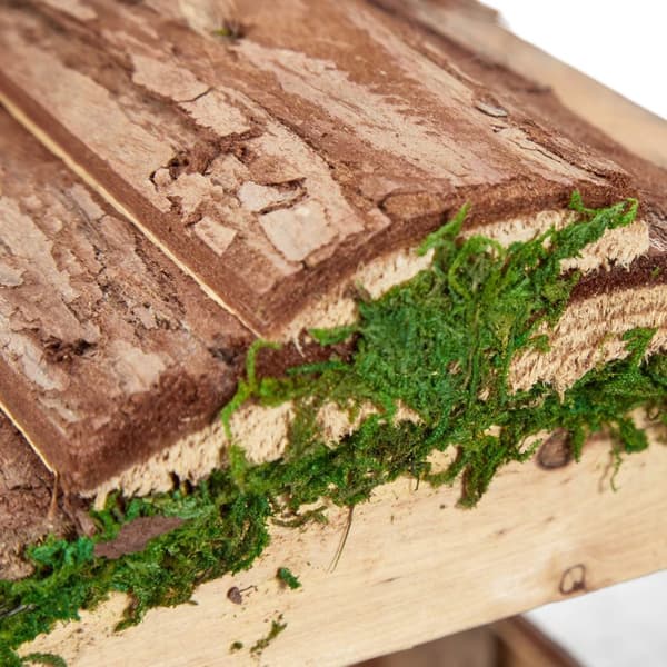 Fuglefoderautomat med bark