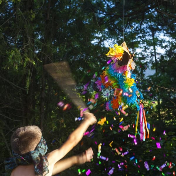 Pinata farverigt æsel