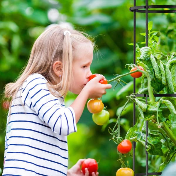 Trellis 190 cm, sæt med 2 stk