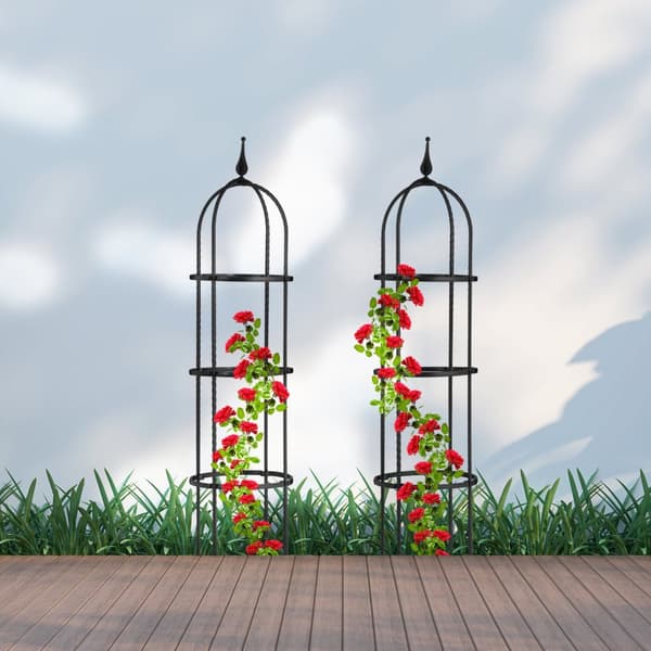Trellis 100 cm, sett med 2