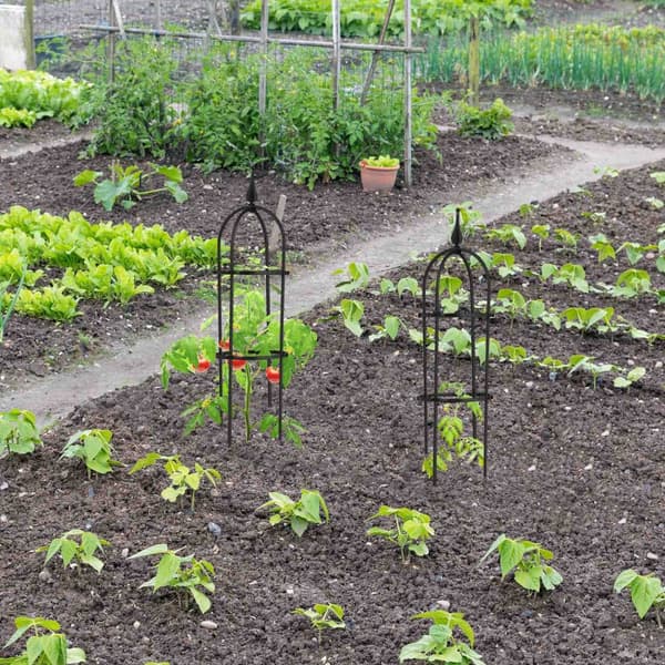 Trellis 70 cm, sæt med 2 stk