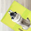 Miniatyrbillede 2 af 7: Kølemåtte til hunde