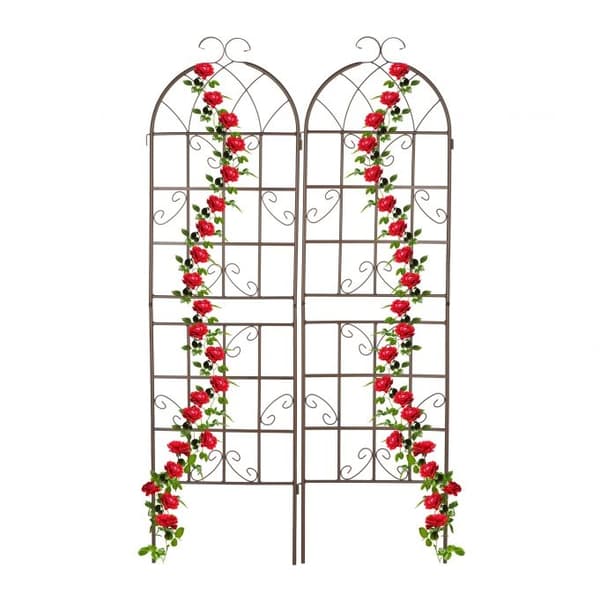 Trellis 180 cm sett med 2 brune