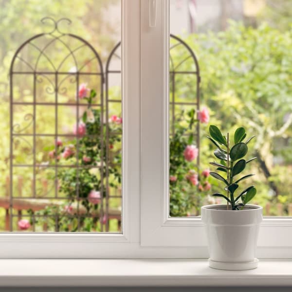 Trellis 220 cm sett med 2 brune
