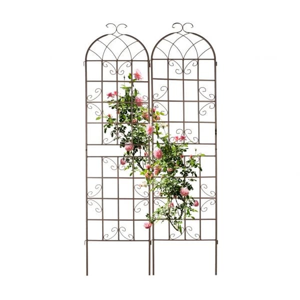 Trellis 220 cm sett med 2 brune