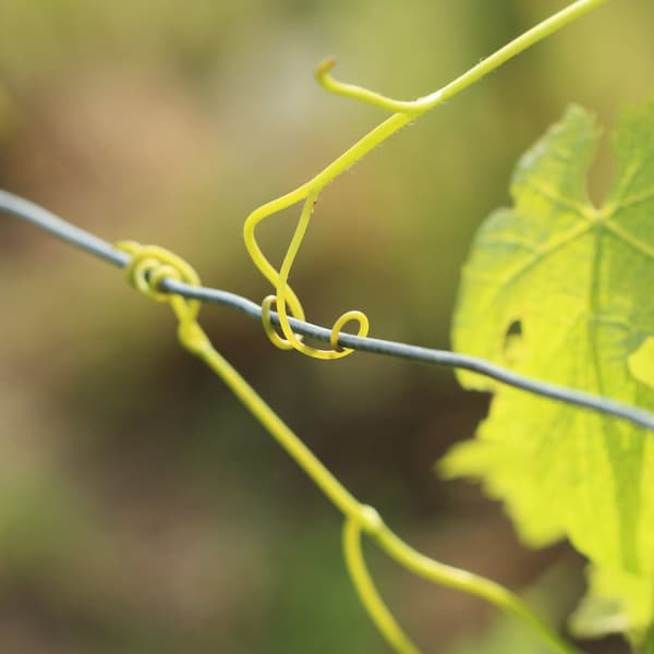 Bind kabel 1 mm i et sæt af 2