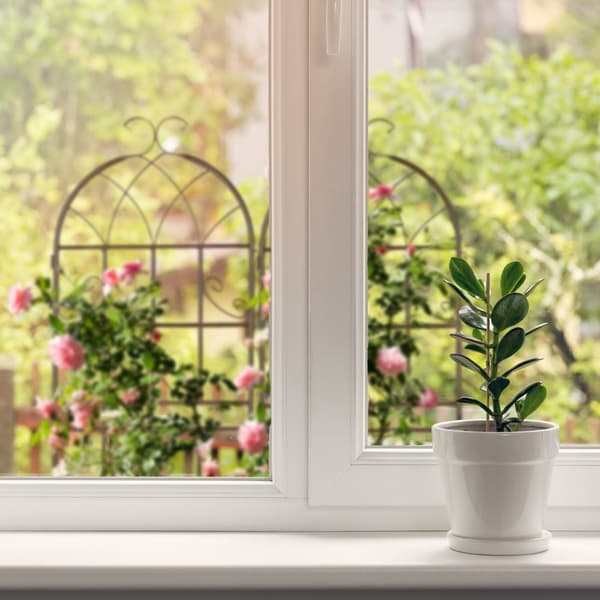 Trellis 150 cm sett med 2 brune